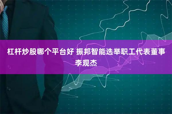 杠杆炒股哪个平台好 振邦智能选举职工代表董事李观杰