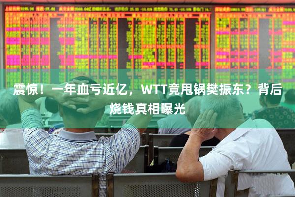 震惊！一年血亏近亿，WTT竟甩锅樊振东？背后烧钱真相曝光