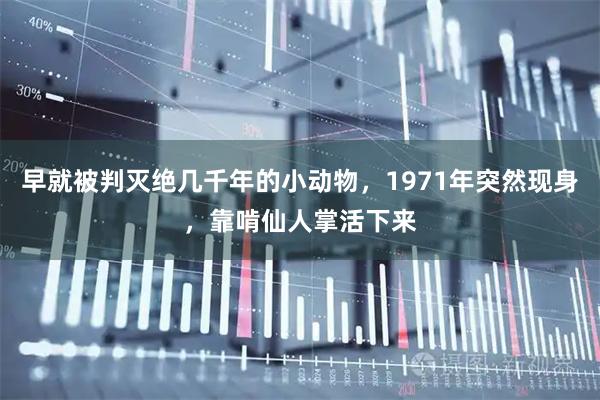 早就被判灭绝几千年的小动物，1971年突然现身，靠啃仙人掌活下来