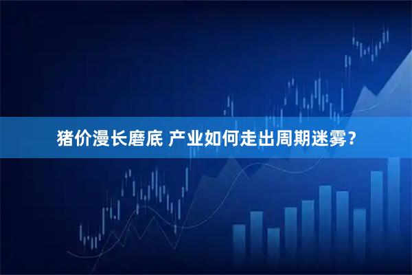 猪价漫长磨底 产业如何走出周期迷雾?